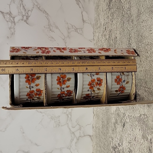 Vintage Saltera Winter Dogwood Japanese Ramekin set new in box - Picture 8 of 9